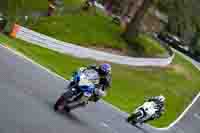 anglesey;brands-hatch;cadwell-park;croft;donington-park;enduro-digital-images;event-digital-images;eventdigitalimages;mallory;no-limits;oulton-park;peter-wileman-photography;racing-digital-images;silverstone;snetterton;trackday-digital-images;trackday-photos;vmcc-banbury-run;welsh-2-day-enduro